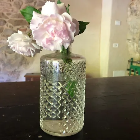 Il Mulino Dei Veraghi The Mill At The Falls Bed & Breakfast